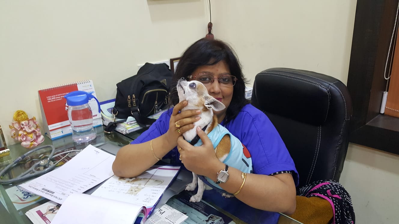 Pet care