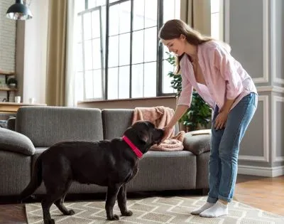 Best Pet Clinic In Kolkata, dog grooming services in Kolkata , pet boarding in Kolkata , pet vaccination in Kolkata , pet dental care in Kolkata , Pet Nutrition Tips by expert in Kolkata , Veterinary Clinics in Kankurgachhi Kolkata , veterinary clinics near me in Kolkata , best veterinary hospital in Kolkata , Pet Care Services in Kolkata, dog grooming services in Kolkata