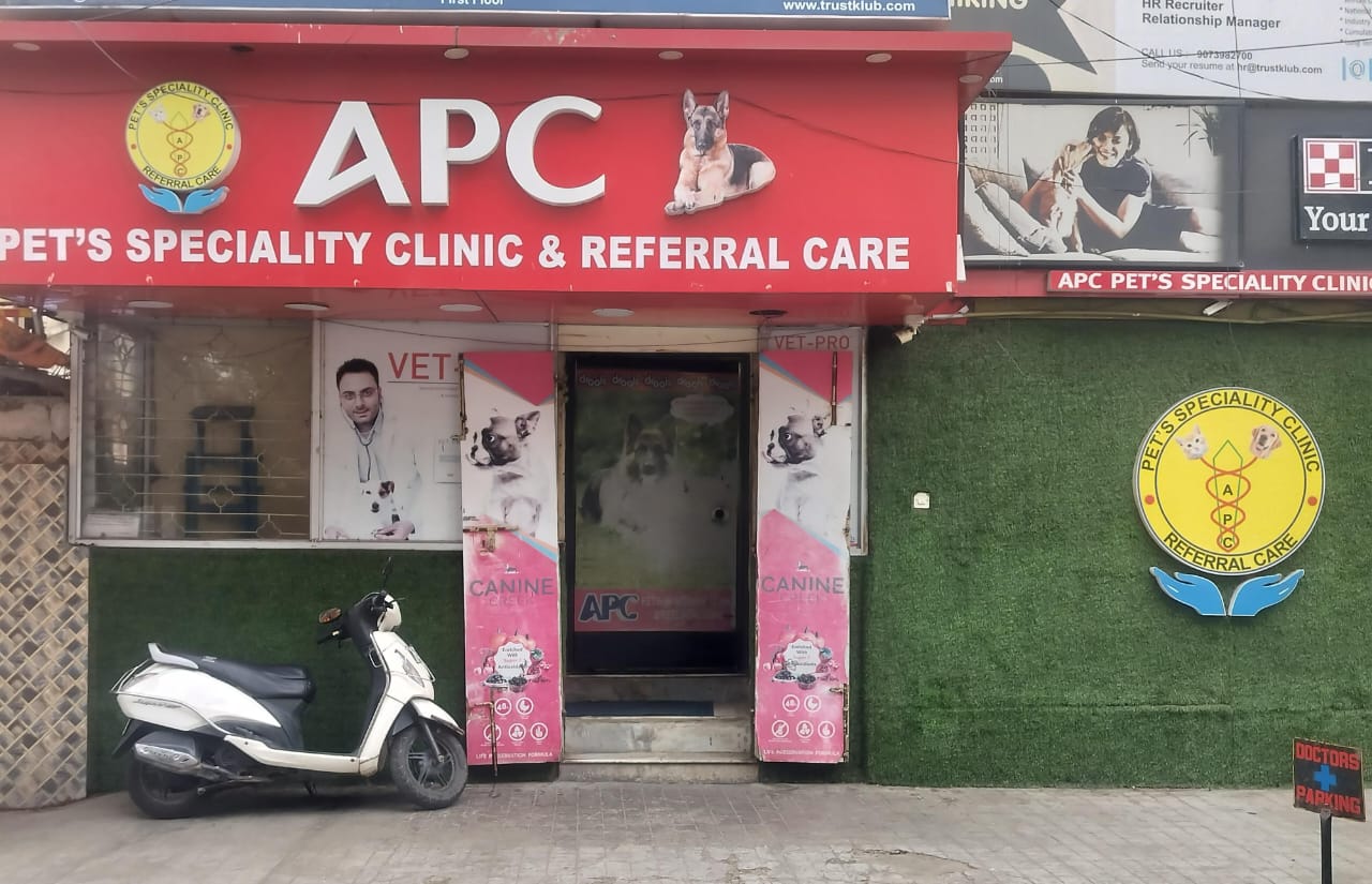 Best Pet Clinic In Kolkata, dog grooming services in Kolkata , pet boarding in Kolkata , pet vaccination in Kolkata , pet dental care in Kolkata , Pet Nutrition Tips by expert in Kolkata , Veterinary Clinics in Kankurgachhi Kolkata , veterinary clinics near me in Kolkata , best veterinary hospital in Kolkata , Pet Care Services in Kolkata, dog grooming services in Kolkata