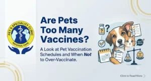 Are Pets Getting Too Many Vaccines?