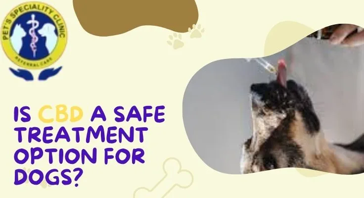 Best Pet Clinic In Kolkata, dog grooming services in Kolkata , pet boarding in Kolkata , pet vaccination in Kolkata , pet dental care in Kolkata , Pet Nutrition Tips by expert in Kolkata , Veterinary Clinics in Kankurgachhi Kolkata , veterinary clinics near me in Kolkata , best veterinary hospital in Kolkata , Pet Care Services in Kolkata, dog grooming services in Kolkata